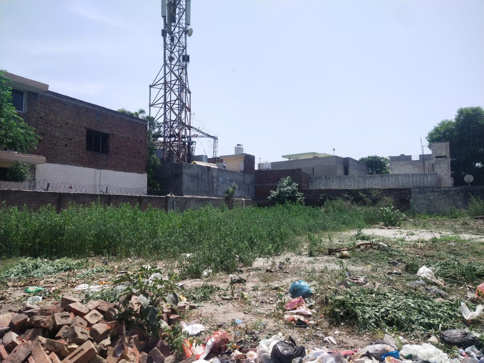 PunjabKesari, Accusations on AAP MLA Madan Lal Bagga