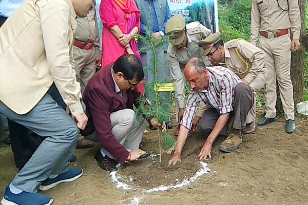 PunjabKesari, Plantation Image