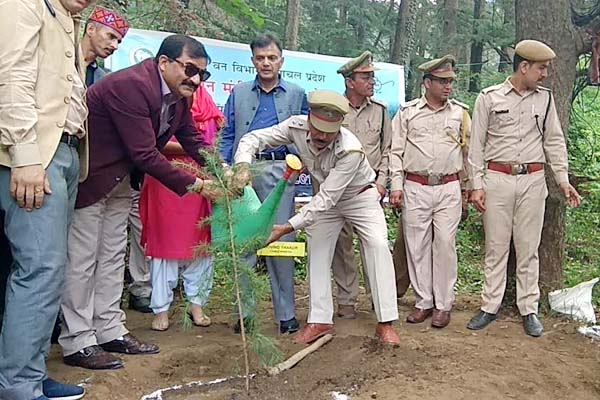 PunjabKesari, Plantation Image