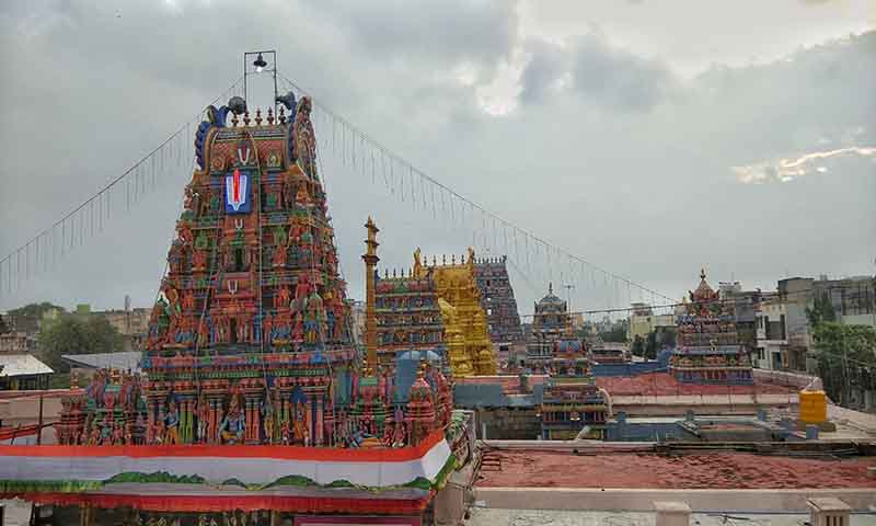 PunjabKesari Parthasarathy Temple
