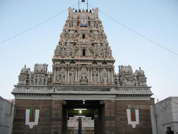 PunjabKesari Parthasarathy Temple