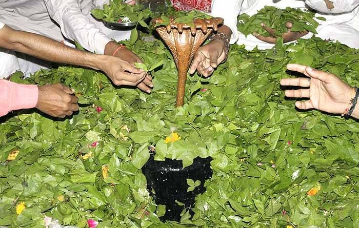 PunjabKesari Mistakes to Avoid During Shivling Worship