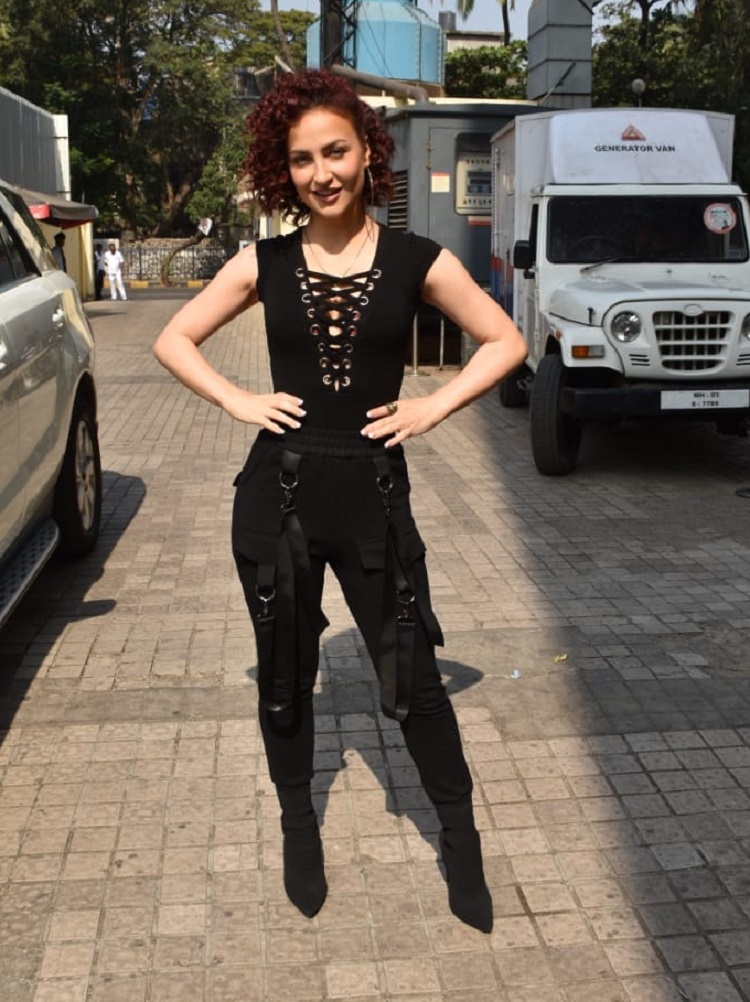 Bollywood Tadka,elli avram image,elli avram photo, elli avram pictures,