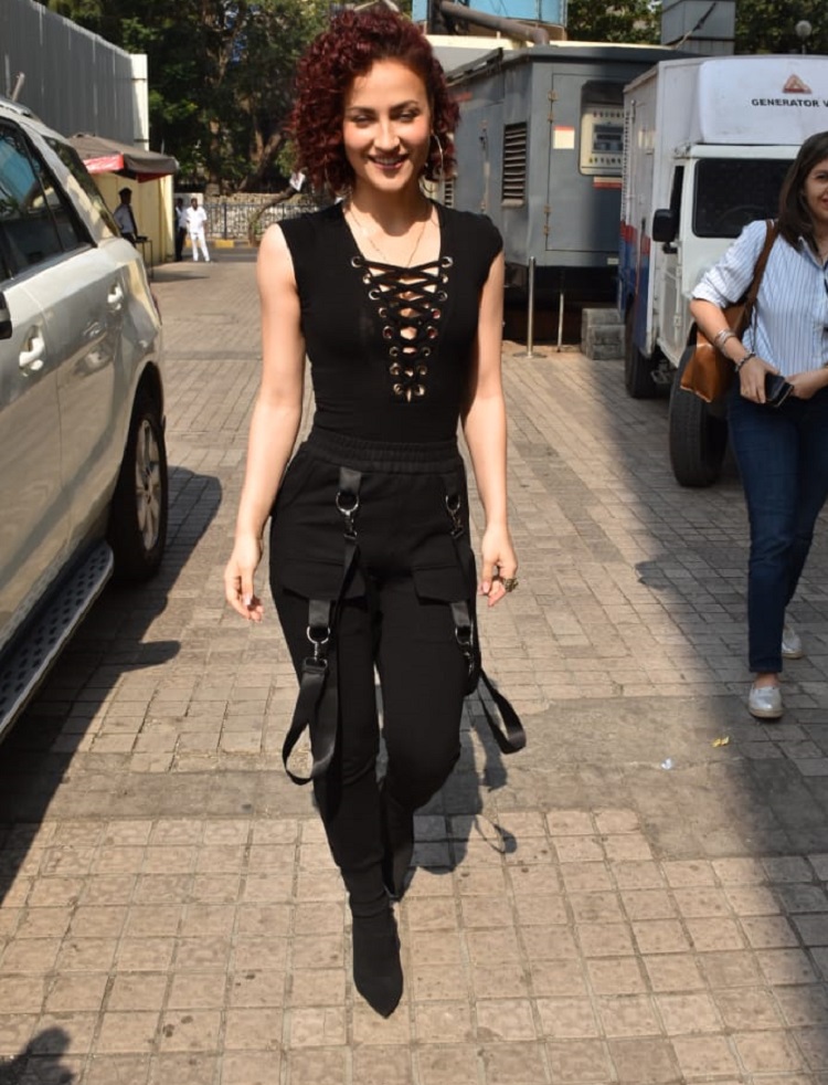 Bollywood Tadka,elli avram image,elli avram photo, elli avram pictures,