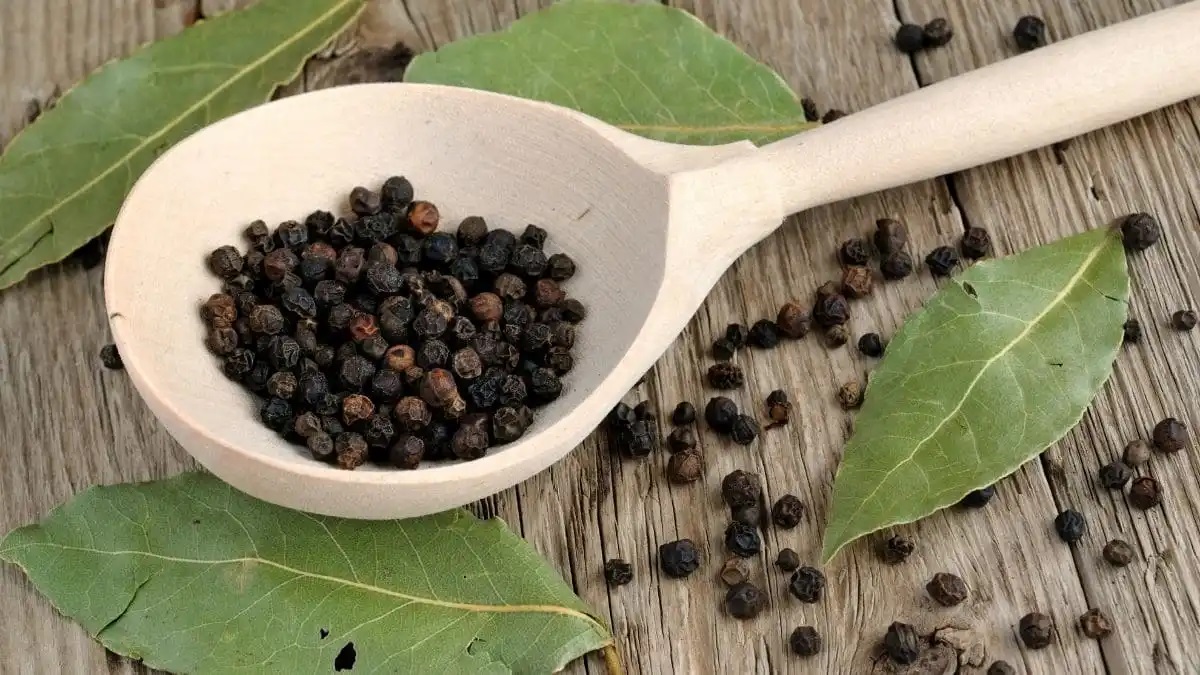 соль перец лаврушка. лавровый лист перец. лавровый лист и перец горошком и душистый горошком. соль лавровый лист. соль перец горошек и лаврушка.