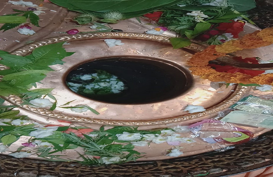 PunjabKesari Kaleshwar Mahadev Temple