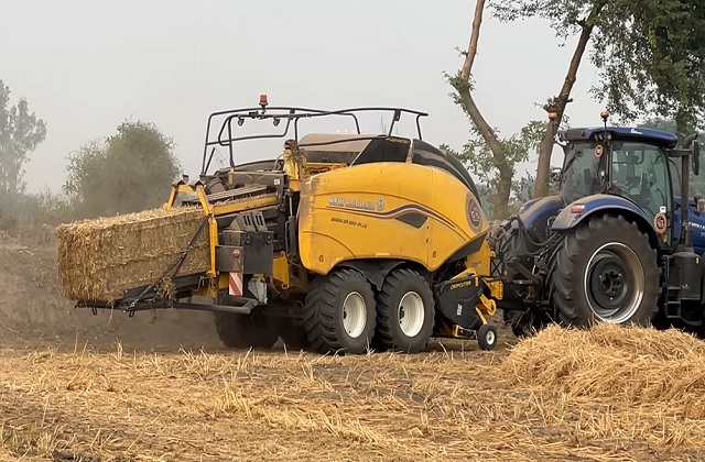 Stubble Burning