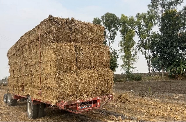 Stubble Burning
