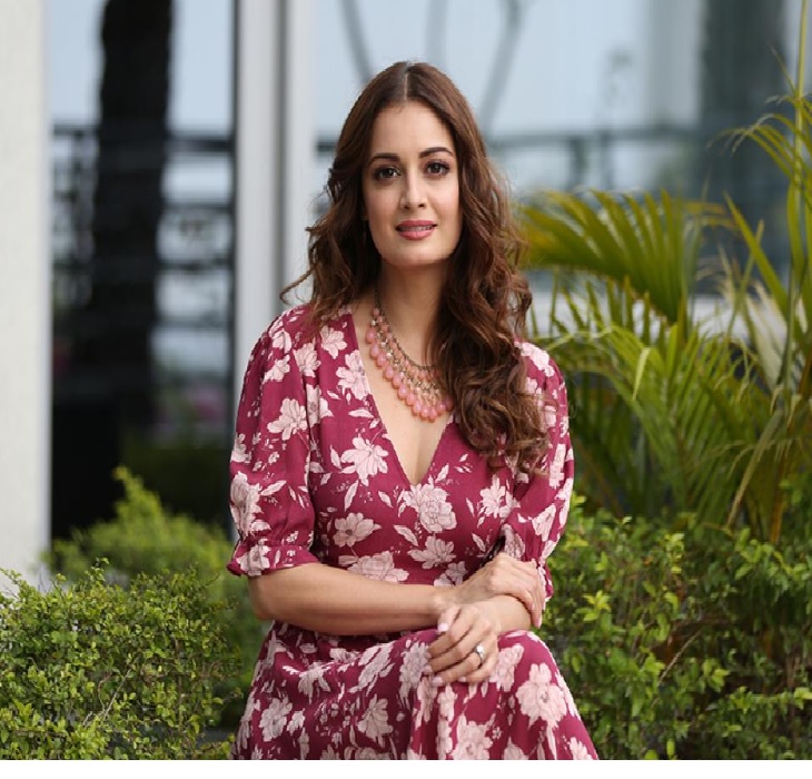 Dia Mirza Plastic Surgery