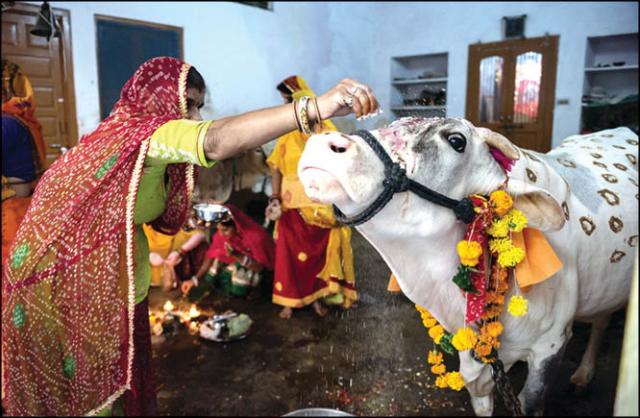 PunjabKesari, Gopashtami 2020, gopashtami 2020 date, gopashtami kab hai, gopashtami 2020 iskcon, gopashtami 2020 date and calendar, gopashtami 2020 Shubh Muhurta, gopashtami Pujan vidhi, fast and Festivals, Dharm, Punjab kesari, Gopashtami Story in hindi, Gopashtami katha in hindi, Lord krishna