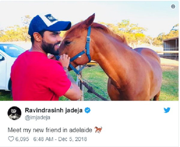 PunjabKesari sports Ravinder jadeja