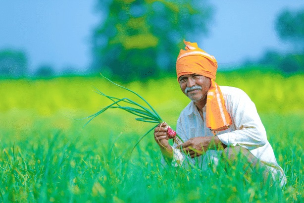PunjabKesari