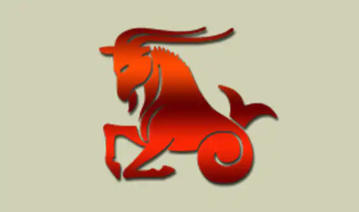 PunjabKesari, मकर, मकर राशि, Capricorn , Capricorn Zodiac sign