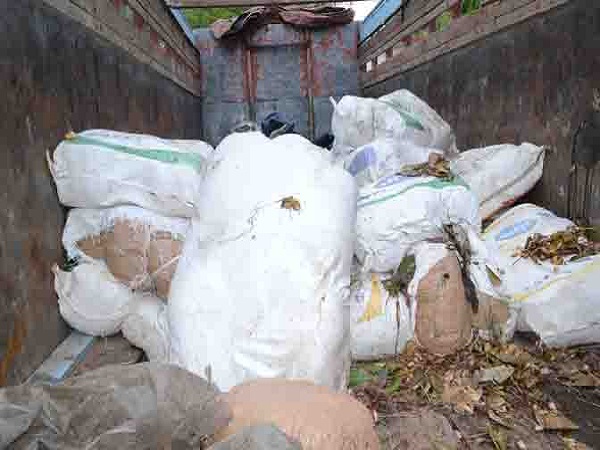 PunjabKesari, Madhya Pardesh Hindi News, Rewa Hindi News, Rewa Hindi Samachar, Hemp smuggler, Arrest, Police, Odisha, 10 quintals of Hemp