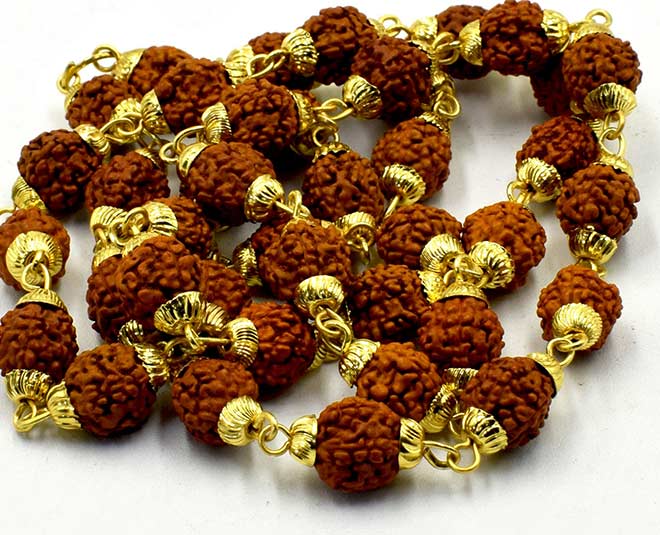 PunjabKesari Sawan, Sawan 2022, Shiv ji, Lord Shiva, Shiv ji Rudraksh, Types of Rudraksha, How to Wear Rudraksha, Vastu, Vastu Shastra, Rudraksha benefits, Wearing Rudraksha In hindu Shastra, Dharm