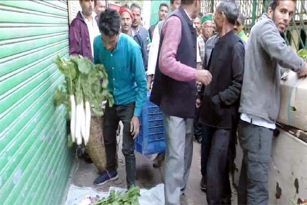 PunjabKesari, Vegetable Market Image