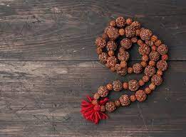 PunjabKesari Sawan, Sawan 2022, Shiv ji, Lord Shiva, Shiv ji Rudraksh, Types of Rudraksha, How to Wear Rudraksha, Vastu, Vastu Shastra, Rudraksha benefits, Wearing Rudraksha In hindu Shastra, Dharm