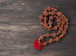 PunjabKesari Sawan, Sawan 2022, Shiv ji, Lord Shiva, Shiv ji Rudraksh, Types of Rudraksha, How to Wear Rudraksha, Vastu, Vastu Shastra, Rudraksha benefits, Wearing Rudraksha In hindu Shastra, Dharm