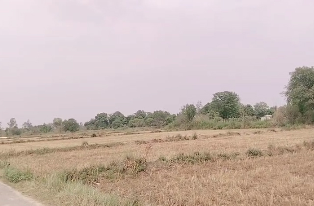 PunjabKesari