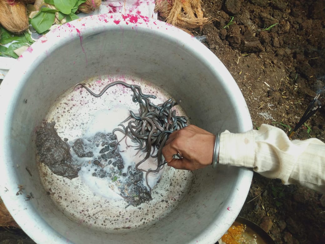 PunjabKesari, Sawan, Sawan 2020, सावन, सावन 2020, भोलेनाथ, शिव जी, Shiv ka chamatkar, Cobra at home, Dharmik Sthal, Religious Place in india, Punjab Kesari, Dharm