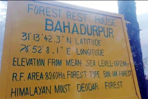 PunjabKesari, Bahadurpur Dhar Image