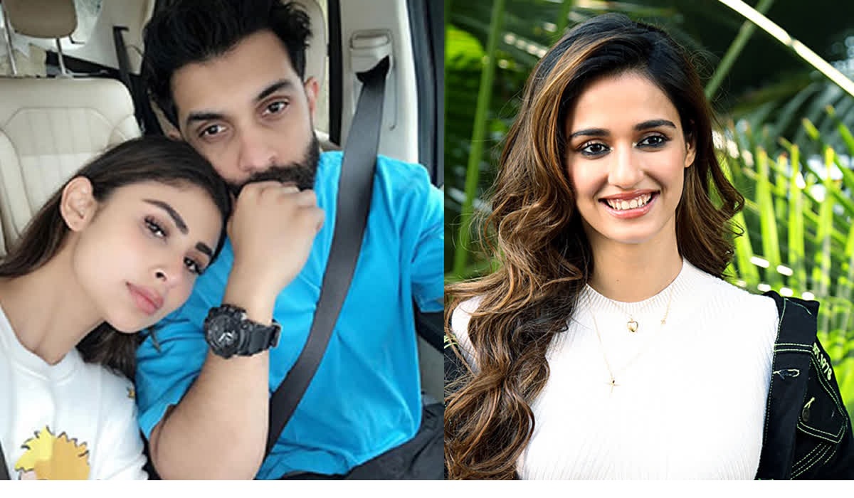  Mouni Roy divorce