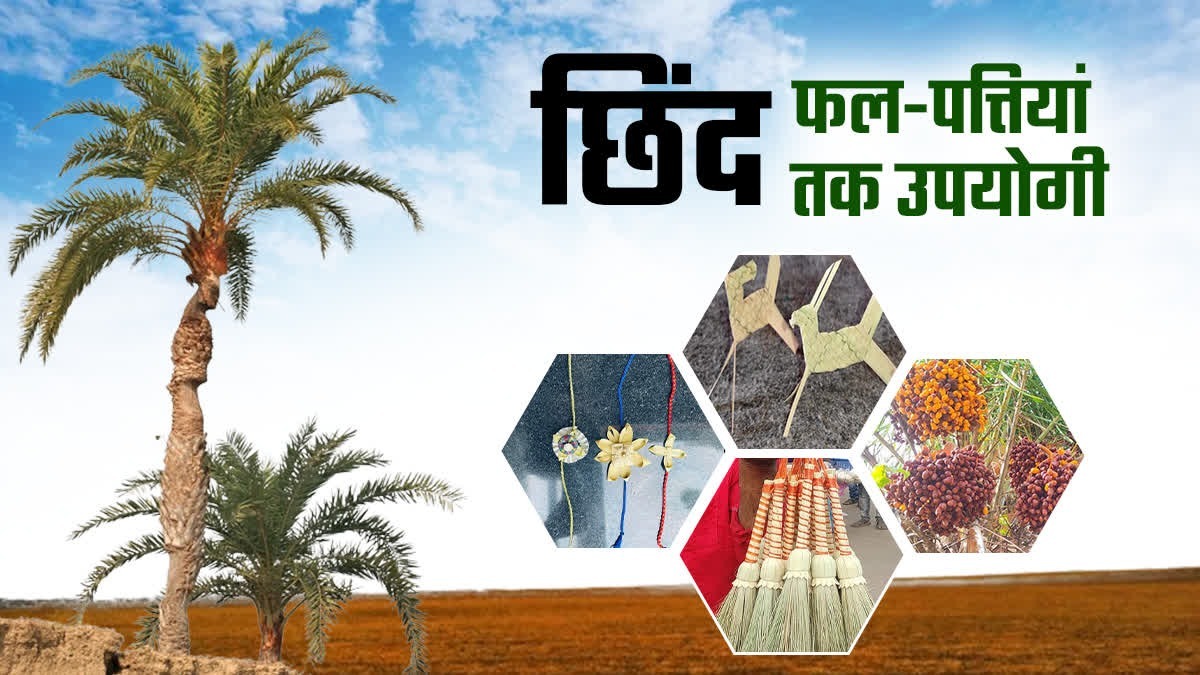 PunjabKesari