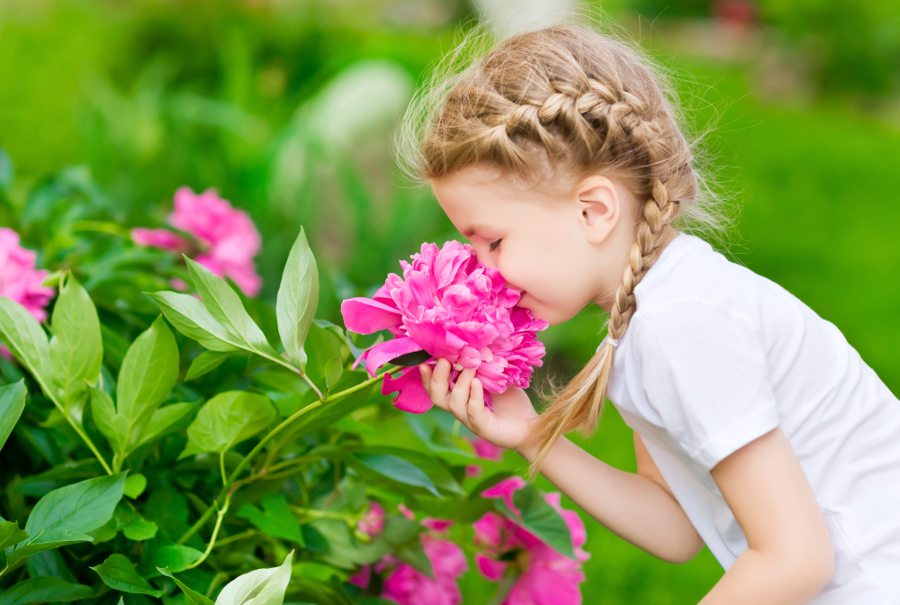 PunjabKesari, Girl smells flower, Fragrance, सुगंध