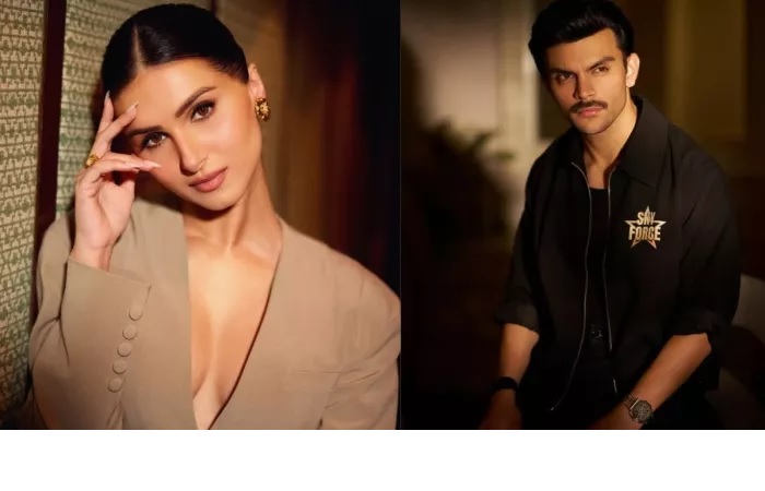 Tara Sutaria and Veer Pahariya breakup