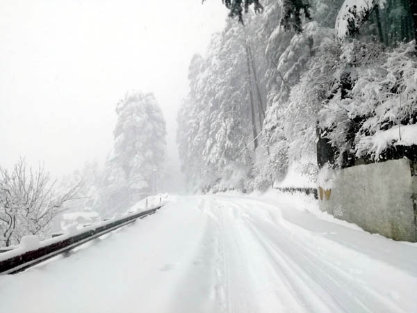 PunjabKesari, Snowfall Image