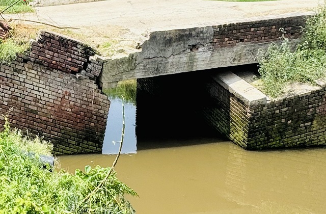 bridge