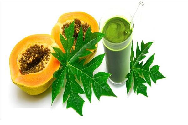 PunjabKesari,Nari,Chikungunya, Ayurvedic Treatment of Chikungunya