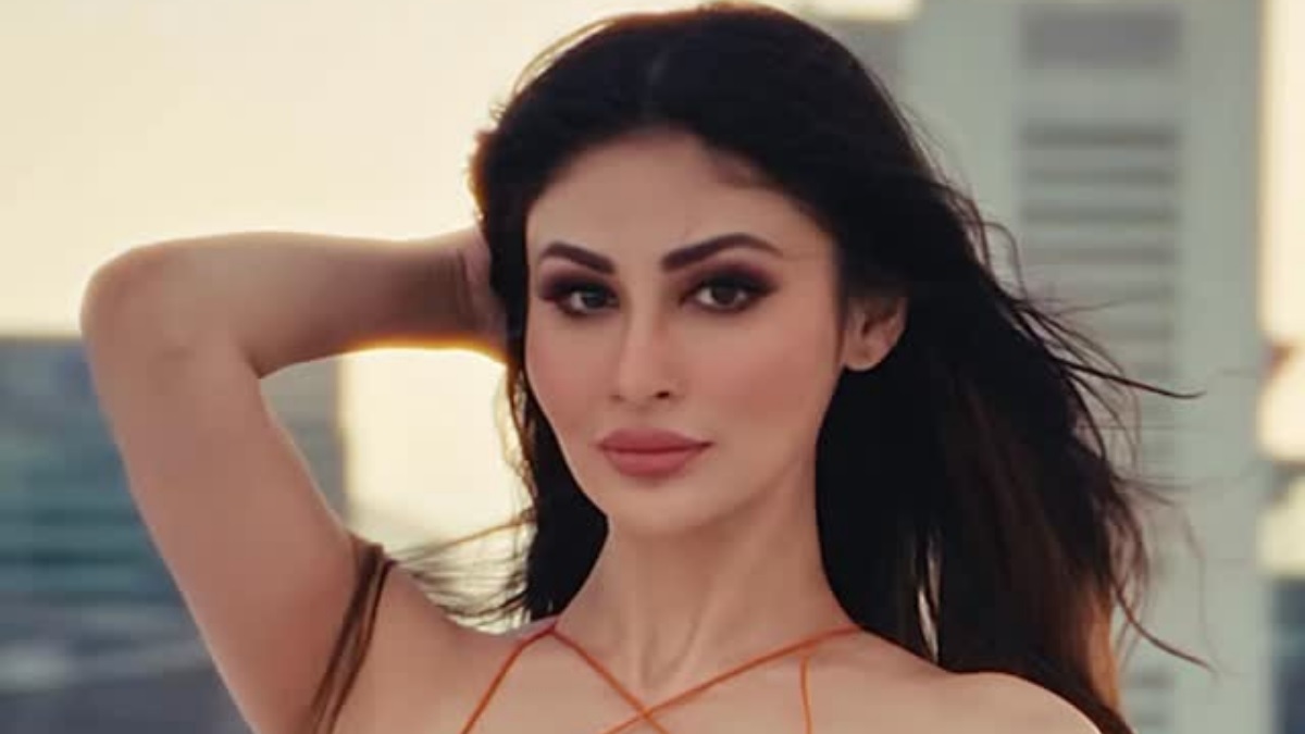 Mouni Roy net worth