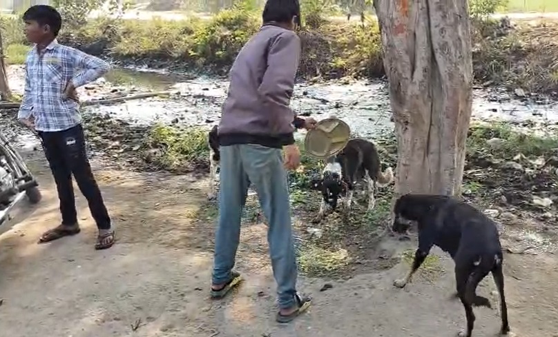 PunjabKesari, Morena News, Mid Day Meal Scam, School Meal Quality, Government School Food, Children’s Meal Issue, Education Department Negligence 