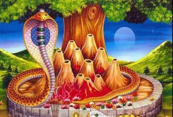PunjabKesari, Sawan, Sawan 2020, सावन, सावन 2020, शिव जी, nag panchami 2020, nag panchami, नाग पंचमी, नाग पंचमी 2020, nag panchami 2020 pujan vidhi, nag panchami 2020 muhurat, Vrat Tyohar, Hindu Vrat, Hindu festival