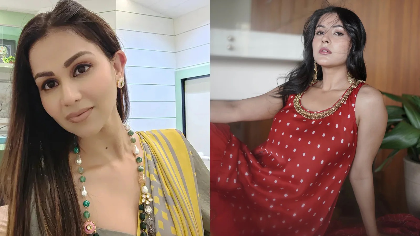   Anchal Khurana on Shehnaaz Gill Controversy 