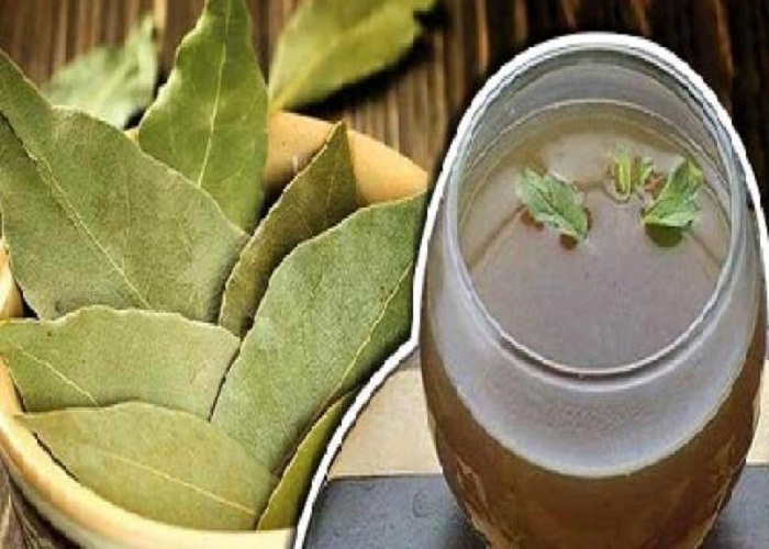 PunjabKesari,Nari,Back Pain, Swelling, कमर दर्द, Bay leaf