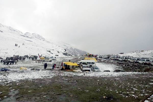 PunjabKesari, Snowfall Image