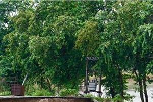 Punjab
