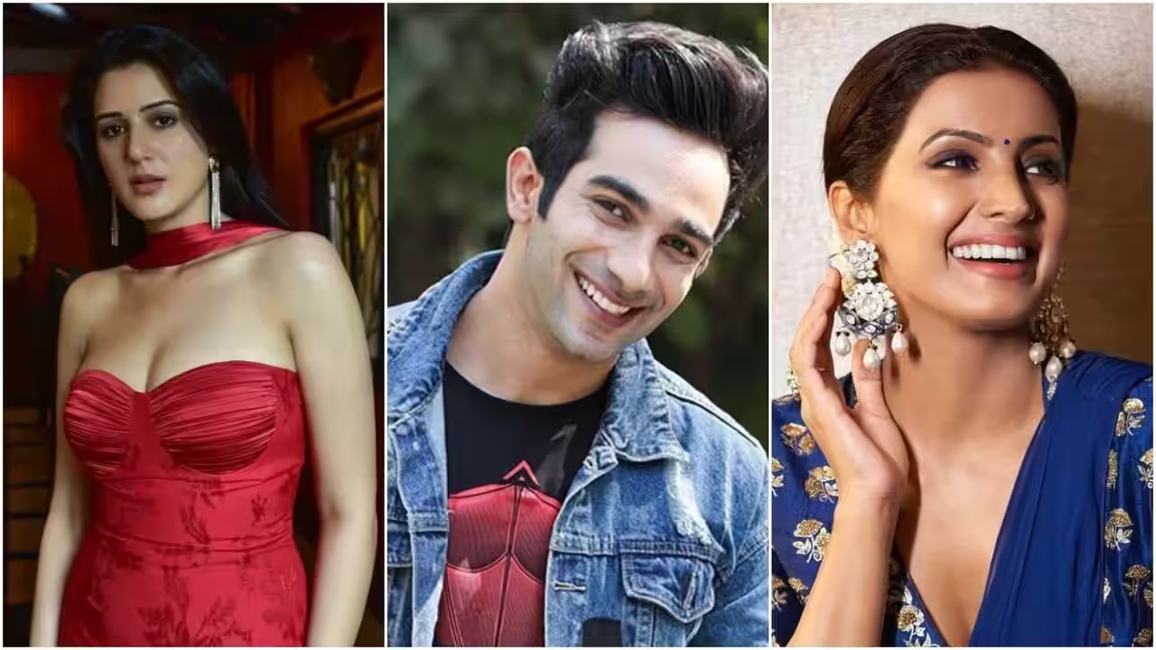 Bigg Boss 20  Contestants 