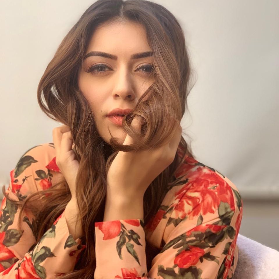 Bollywood Tadka , हंसिका मोटवानी इमेज, हंसिका मोटवानी फोटो, हंसिका मोटवानी पिक्चर