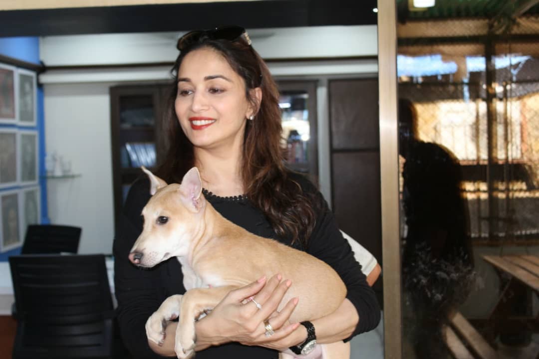Bollywood Tadka,माधुरी दीक्षित इमेज,माधुरी दीक्षित फोटो,माधुरी दीक्षित पिक्चर,