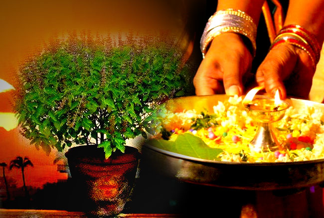 Tulsi Plant, Tulsi Pujan, Tulsi Worship, तुलसी, तुलसी पूजन, Vastu Tips, Basic Vastu Facts, Tulsi Vastu Facts, Vastu Dosh, Vastu Shastra, Home Vastu Dosh