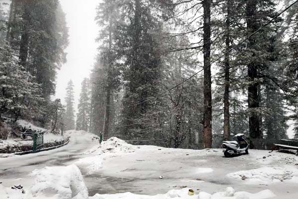 PunjabKesari, Snowfall Image