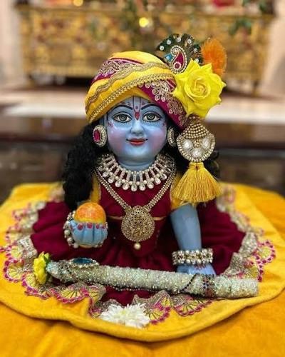 PunjabKesari Laddu Gopal Chhathi
