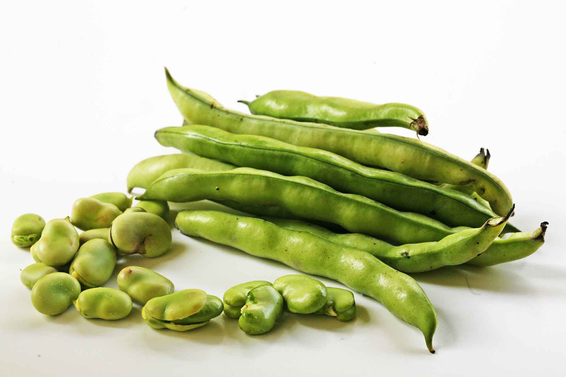 PunjabKesari, fava beans