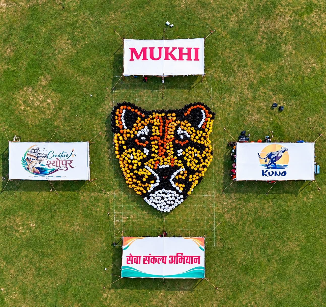 PunjabKesari, Cheetah Mukhii, Cheetah Mukhii News, Madhya Pradesh News Today, Sheopur News, Kuno National Park News, Cheetah Project India, Mohan Yadav News, Cheetah State Madhya Pradesh, Human Rangoli Cheetah, Wildlife Conservation India, Seva Sankalp Abhiyan