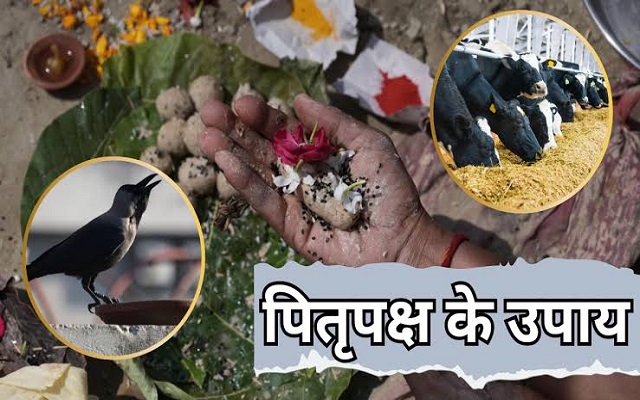 Pitru Paksha Upay