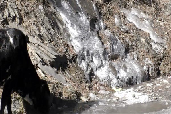 PunjabKesari, Cold Attack Image