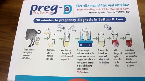 PunjabKesari, Haryana